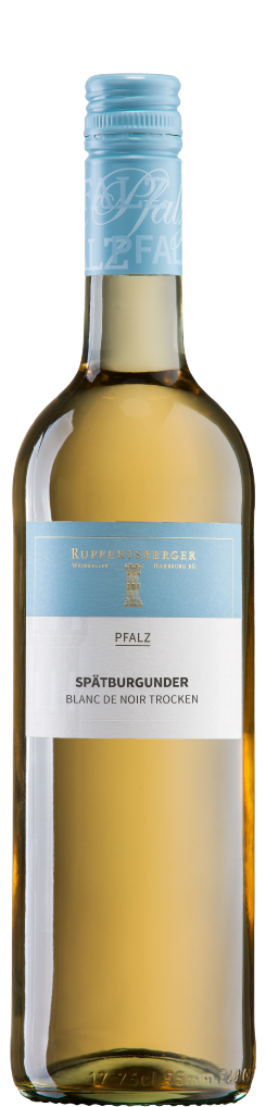 Spätburgunder blanc de noir QW trocken