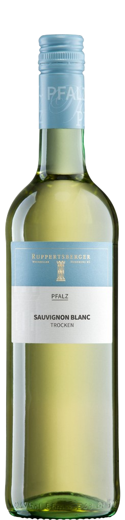 Sauvignon Blanc QW trocken
