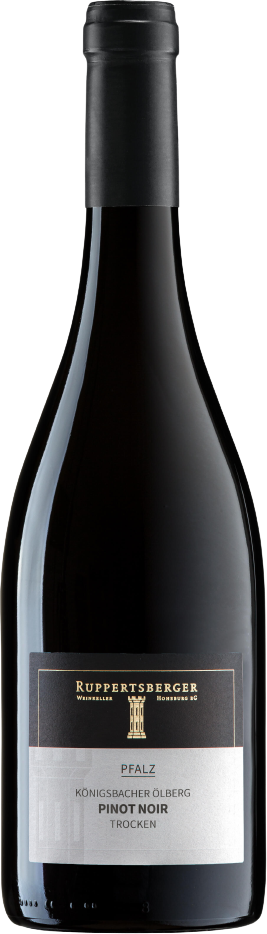 Pinot Noir Spätlese trocken Königsbacher Ölberg, Edition Terroir